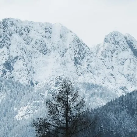 Visitzakopane - Bajka *
